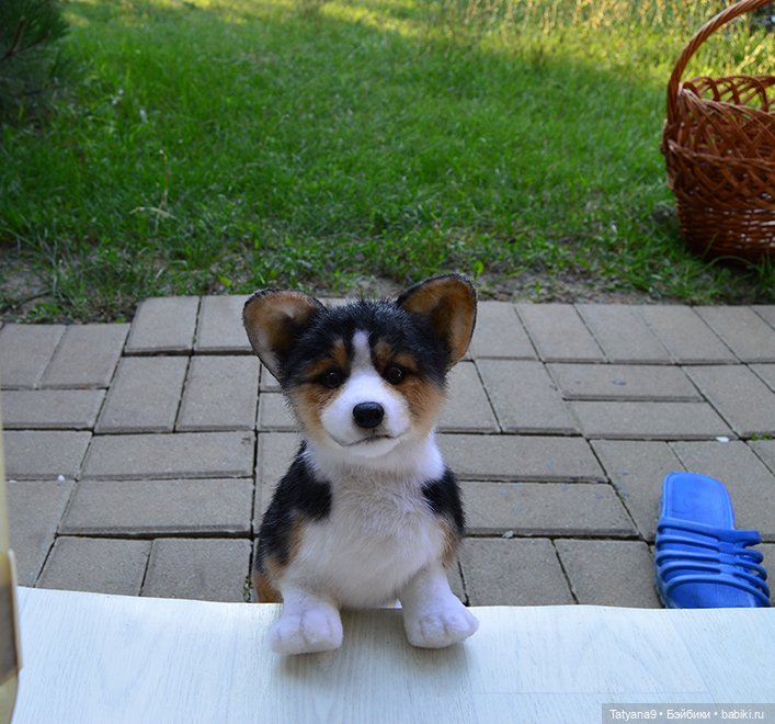 Малыш Корги — Игрушки в смешанной технике (мех и глина): Арт