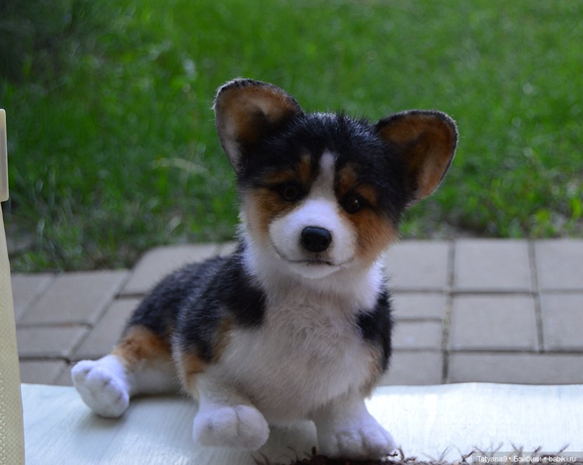 Малыш Корги — Игрушки в смешанной технике (мех и глина): Арт