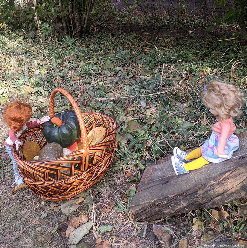 Осень — Разные шарнирные куклы (не БЖД): редкие (фото 9)