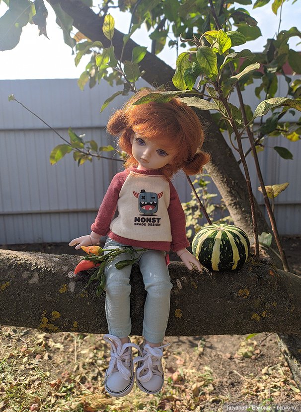 Осень — Разные шарнирные куклы (не БЖД): редкие (фото 3)