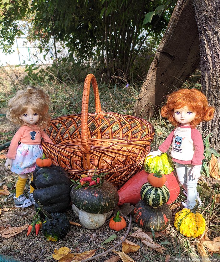Осень — Разные шарнирные куклы (не БЖД): редкие