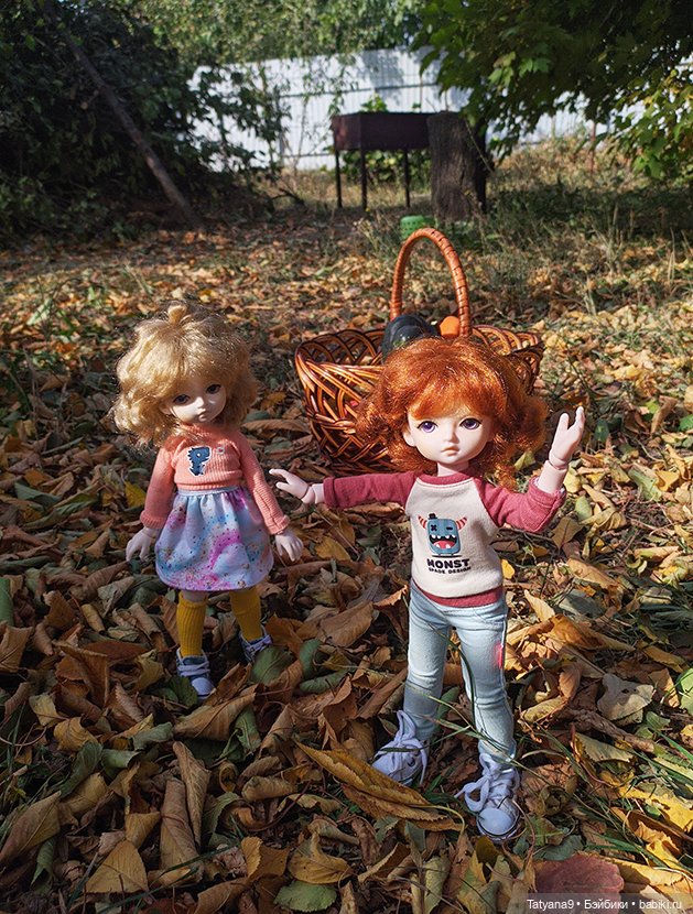 Осень — Разные шарнирные куклы (не БЖД): редкие (фото 2)