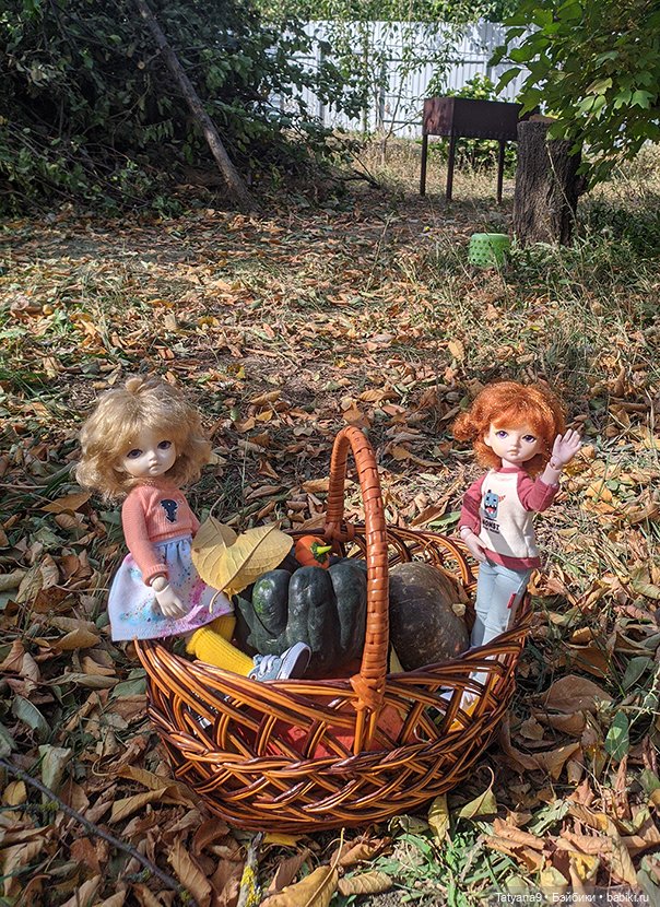 Осень — Разные шарнирные куклы (не БЖД): редкие (фото 7)