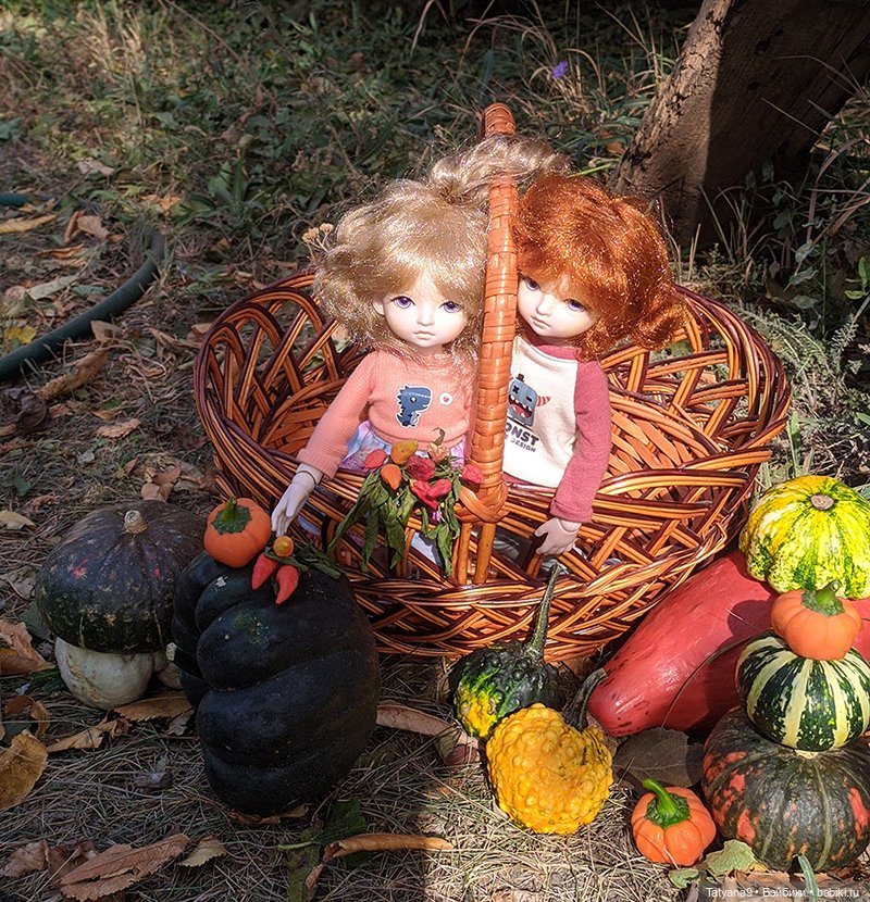 Осень — Разные шарнирные куклы (не БЖД): редкие