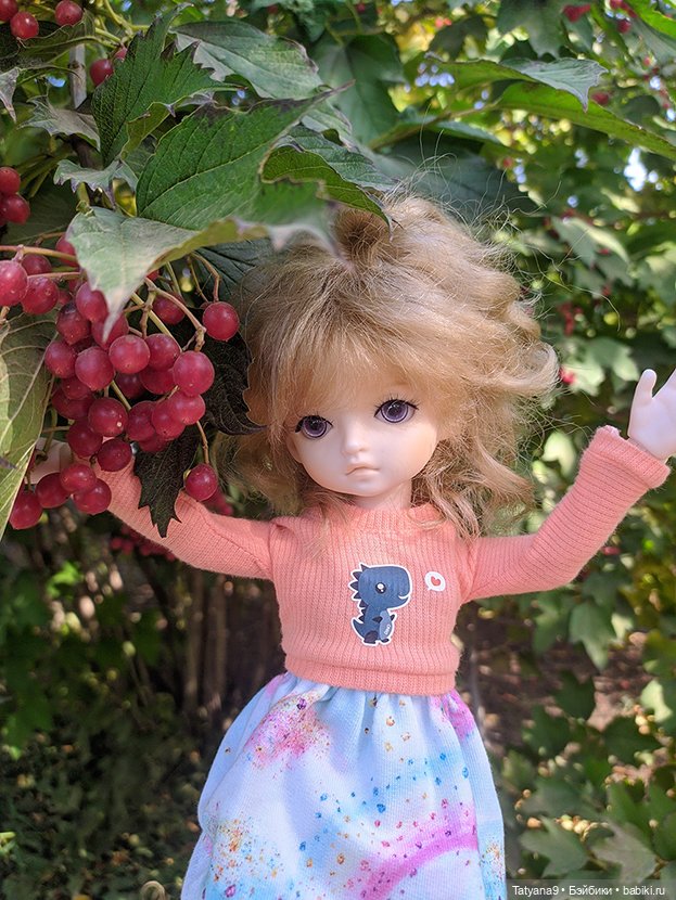 Осень — Разные шарнирные куклы (не БЖД): редкие