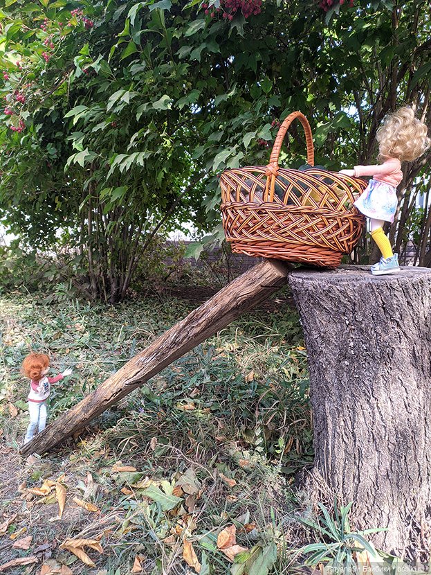 Осень — Разные шарнирные куклы (не БЖД): редкие (фото 8)