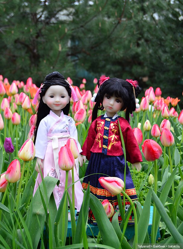 Первая весна — Куклы Ruby Red (Руби Ред) Fashion Friends: Siblies