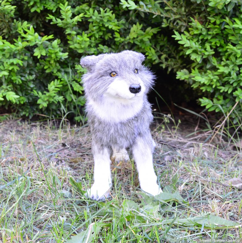 Астрид и ее волки — Куклы Ruby Red (Руби Ред) Fashion Friends: Siblies