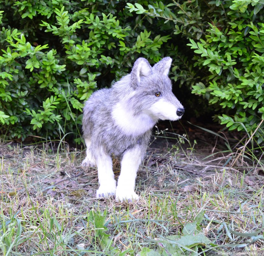 Астрид и ее волки — Куклы Ruby Red (Руби Ред) Fashion Friends: Siblies