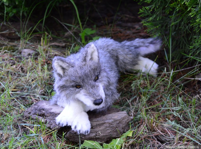 Астрид и ее волки — Куклы Ruby Red (Руби Ред) Fashion Friends: Siblies