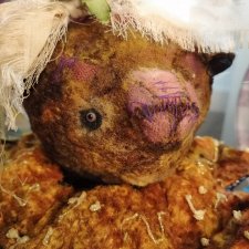 Dolly михоосминог Dolly михоосминог