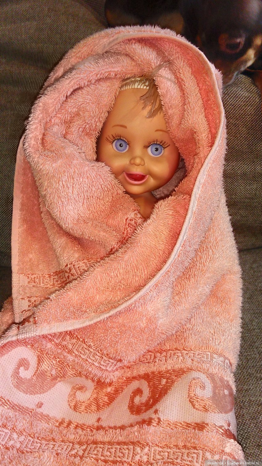 Снова пополнение. Это лечится вообще (фото 6)