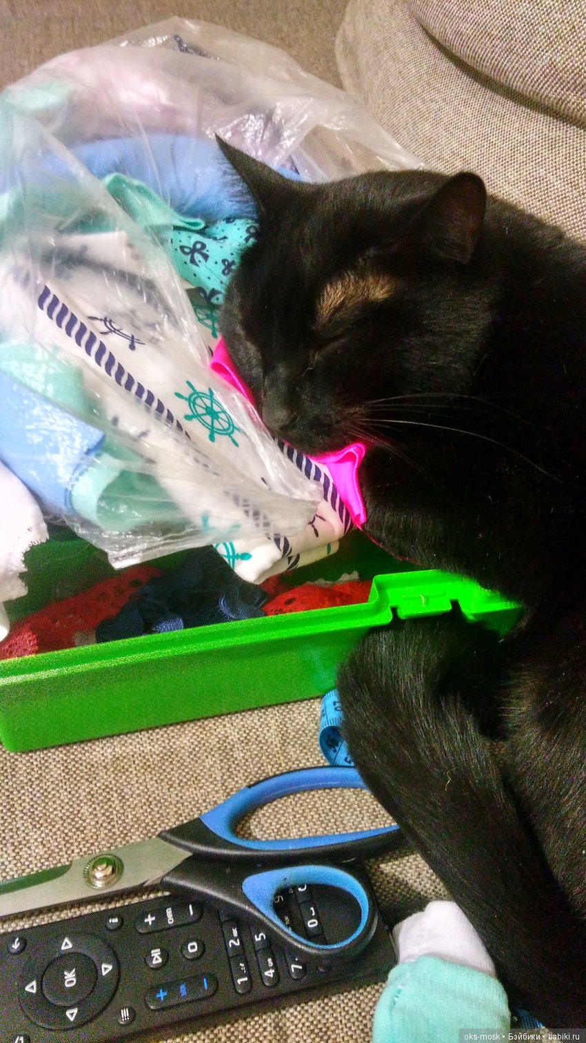 Снова пополнение. Это лечится вообще (фото 3)