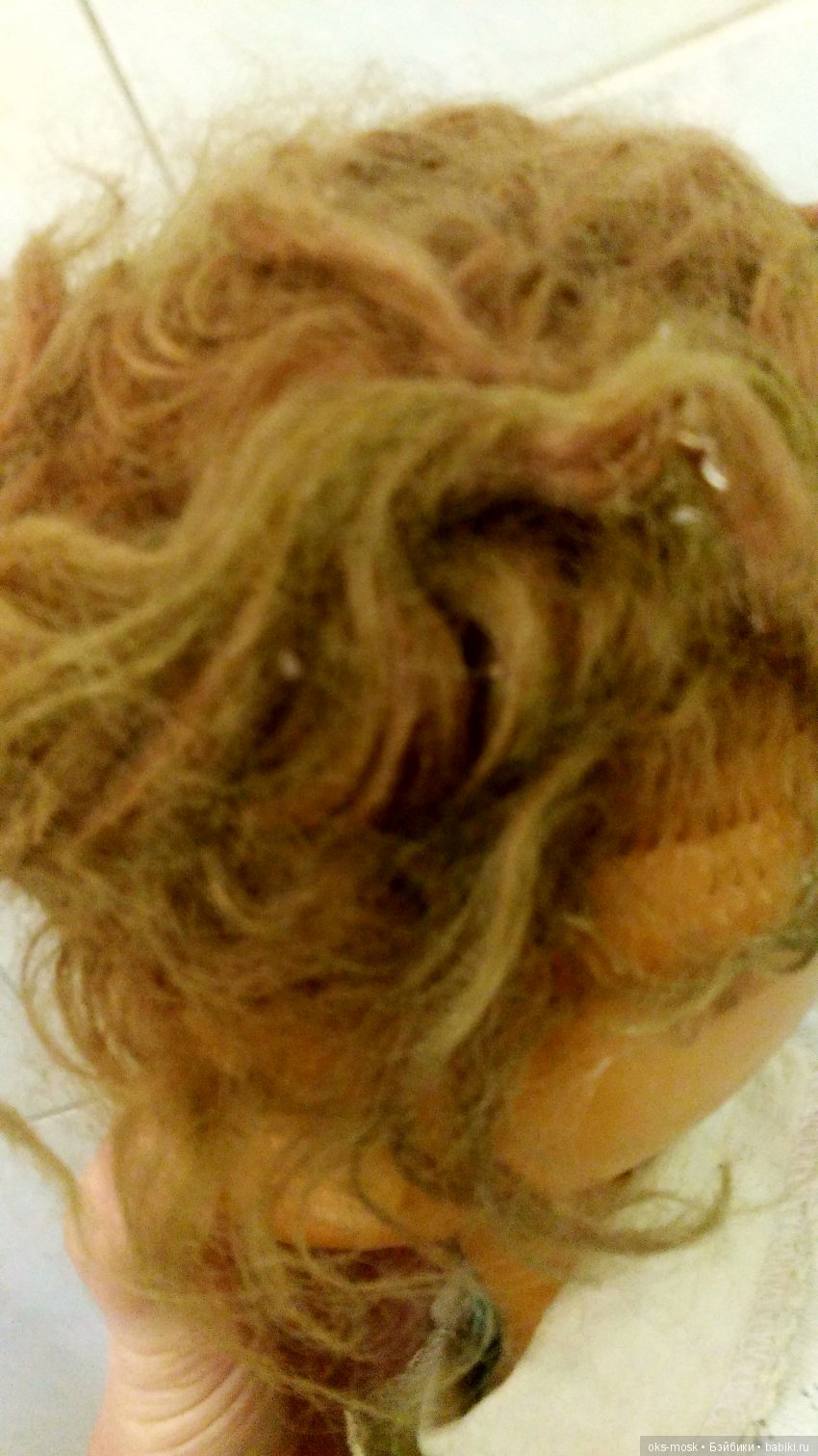 И вторую забрала — Болталка и разговоры обо всем: жизнь (фото 3)