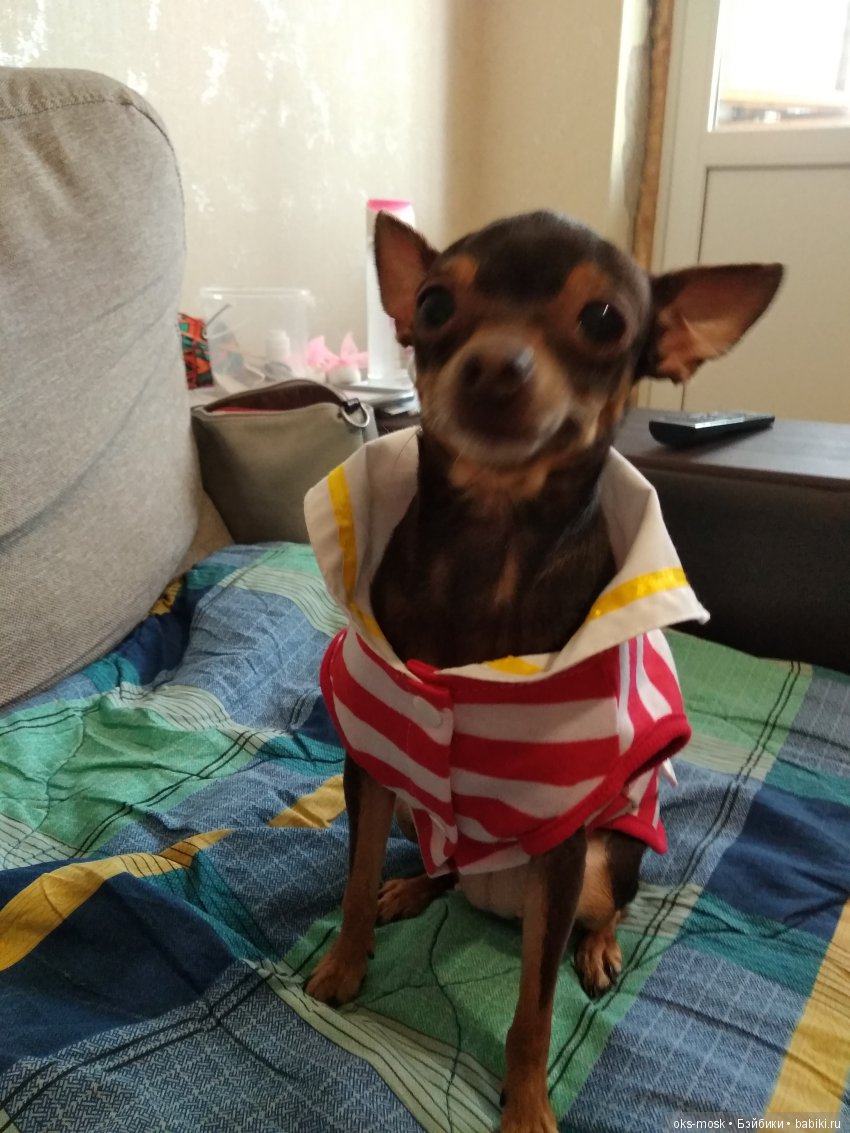 Хороших выходных — Болталка и разговоры обо всем: жизнь (фото 2)