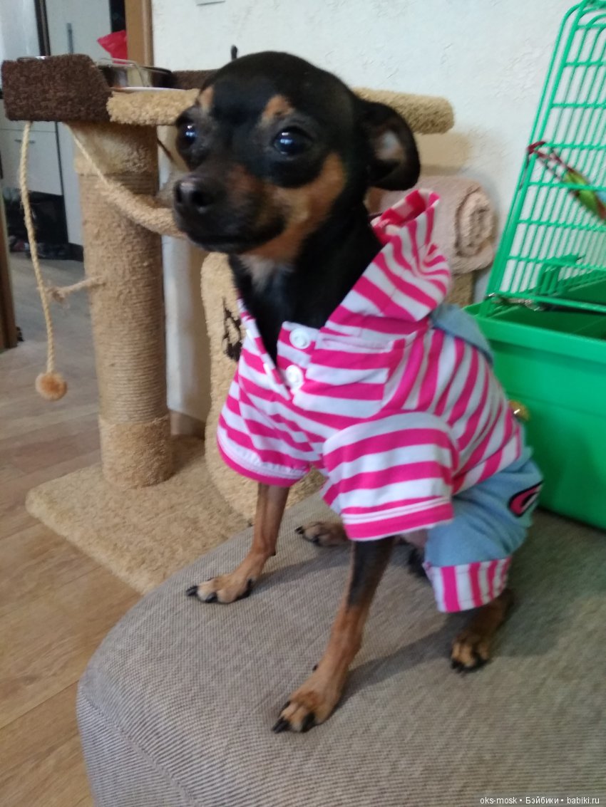 Хороших выходных — Болталка и разговоры обо всем: жизнь