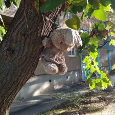 Зайку бросила хозяйка