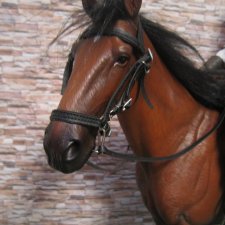 А мне подарили лошадку