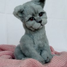 Британский голубой котенок