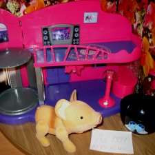 Интерактивная свинка Пиггис-милашка в чайной чашке от Teacup Piggics с домиком Интерактивная свинка Пиггис-милашка в чайной чашке от Teacup Piggics с домиком
