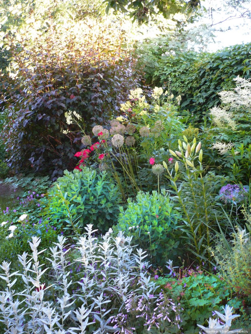 Как я была садоводом | Бэйбики Как я была садоводом — Болталка и разговоры обо всем: жизнь