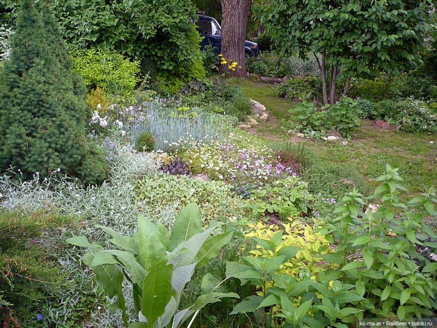 Как я была садоводом | Бэйбики Как я была садоводом — Болталка и разговоры обо всем: жизнь