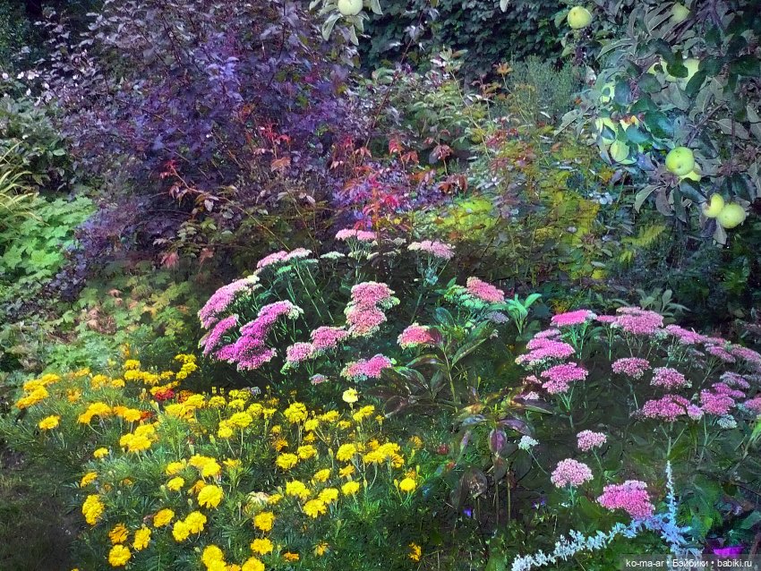 Как я была садоводом | Бэйбики Как я была садоводом — Болталка и разговоры обо всем: жизнь