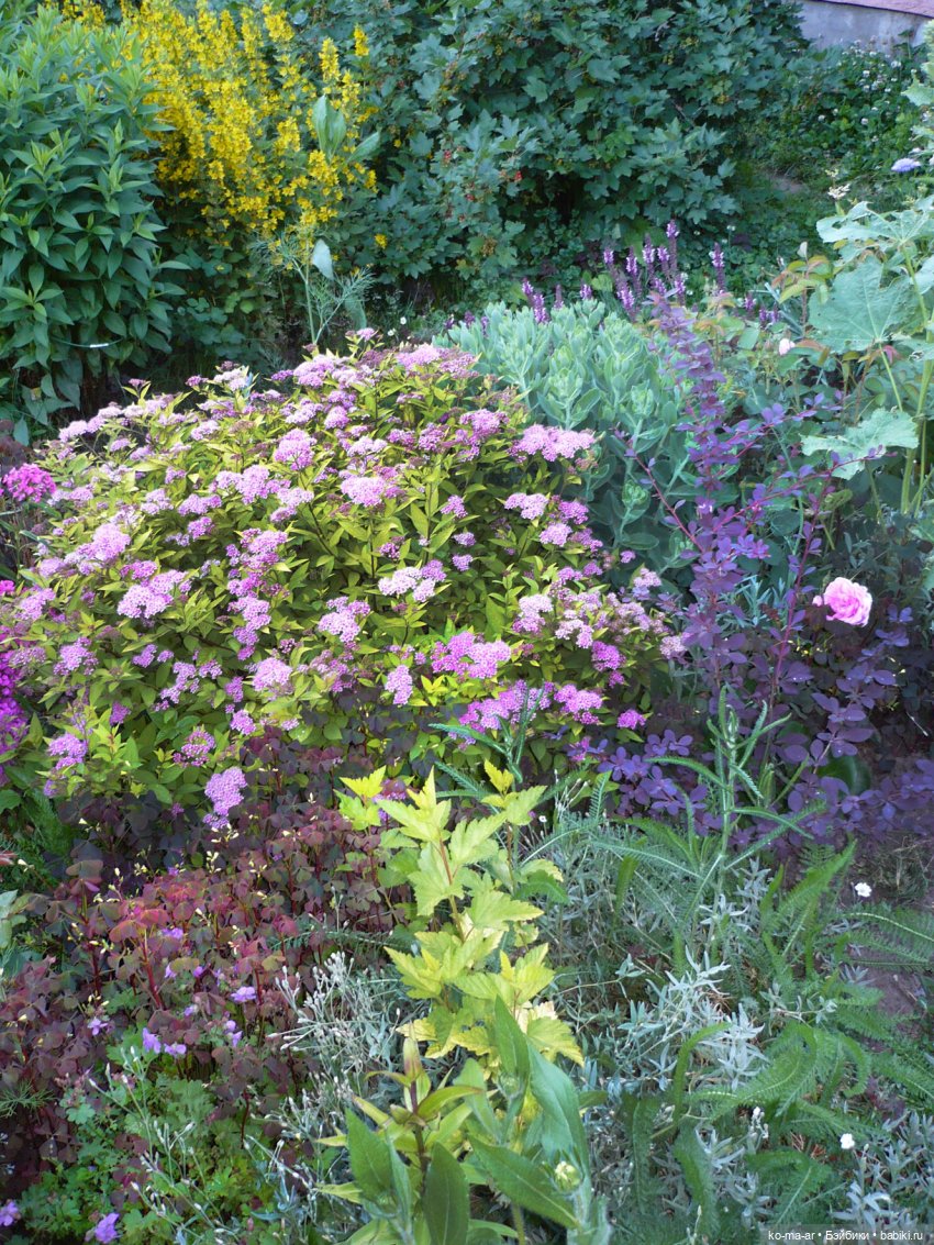 Как я была садоводом | Бэйбики Как я была садоводом — Болталка и разговоры обо всем: жизнь