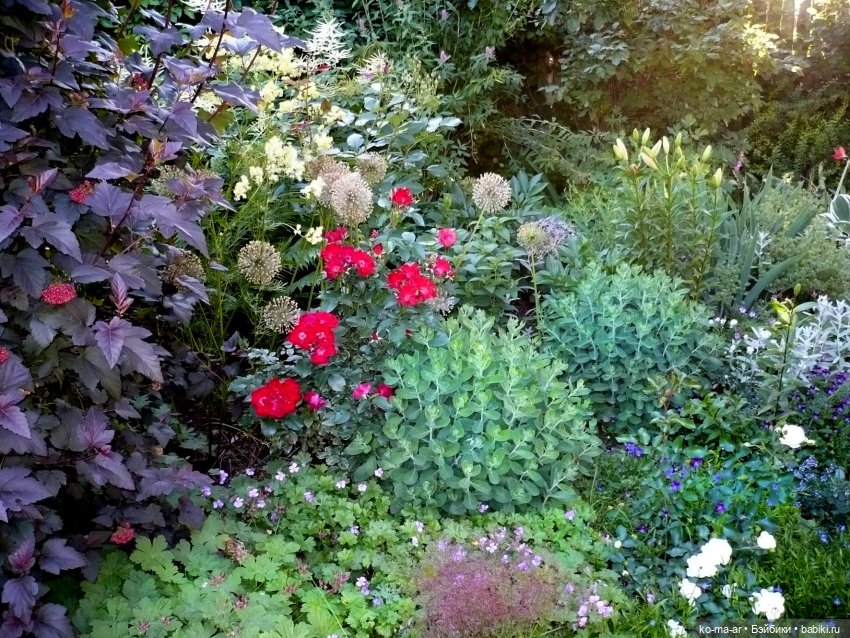 Как я была садоводом | Бэйбики Как я была садоводом — Болталка и разговоры обо всем: жизнь