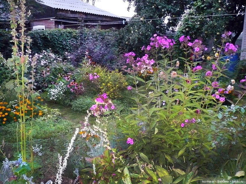 Как я была садоводом | Бэйбики Как я была садоводом — Болталка и разговоры обо всем: жизнь