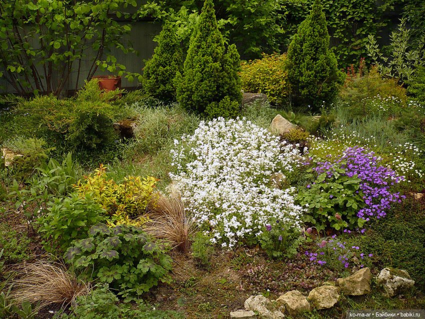 Как я была садоводом | Бэйбики Как я была садоводом — Болталка и разговоры обо всем: жизнь