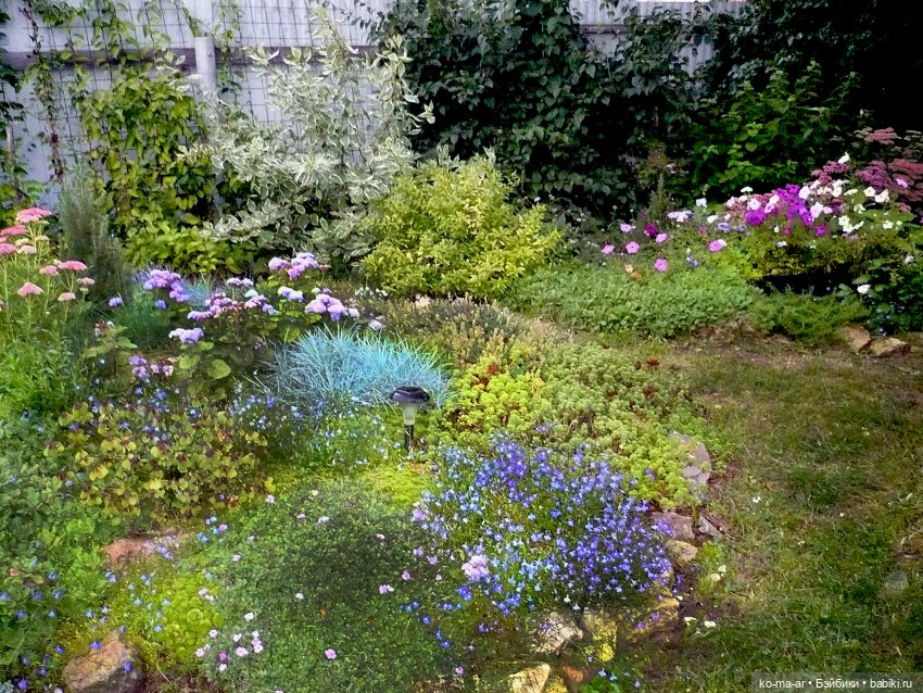 Как я была садоводом | Бэйбики Как я была садоводом — Болталка и разговоры обо всем: жизнь