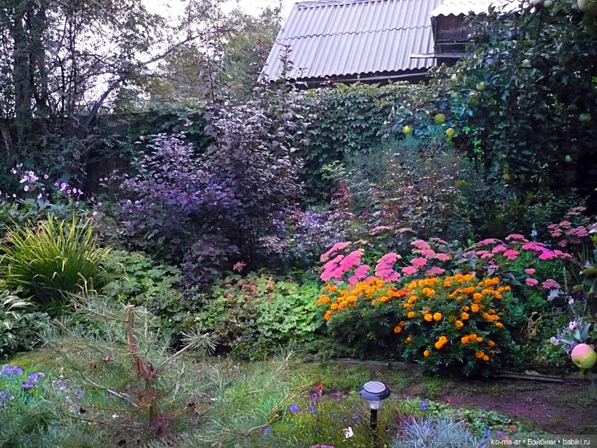 Как я была садоводом | Бэйбики Как я была садоводом — Болталка и разговоры обо всем: жизнь