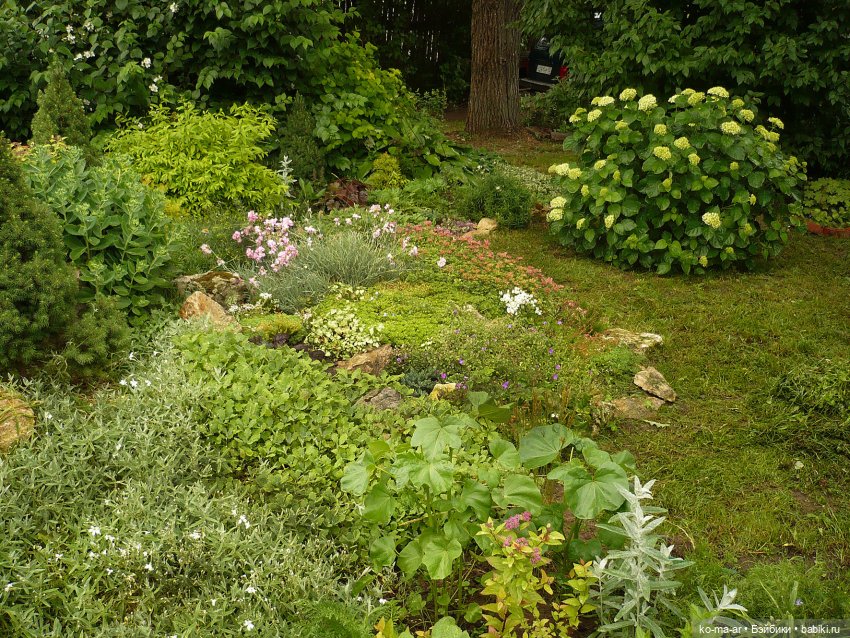 Как я была садоводом | Бэйбики Как я была садоводом — Болталка и разговоры обо всем: жизнь