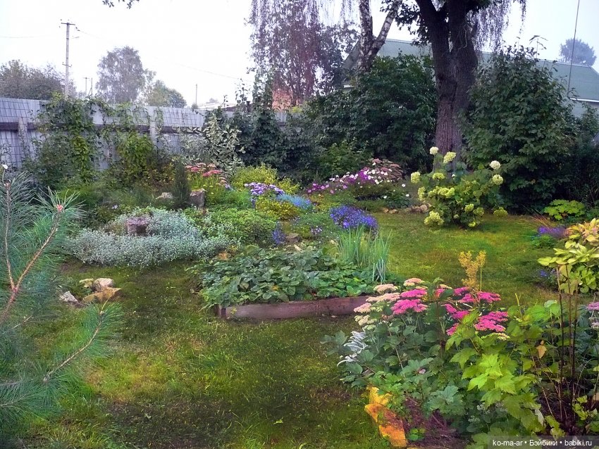 Как я была садоводом | Бэйбики Как я была садоводом — Болталка и разговоры обо всем: жизнь