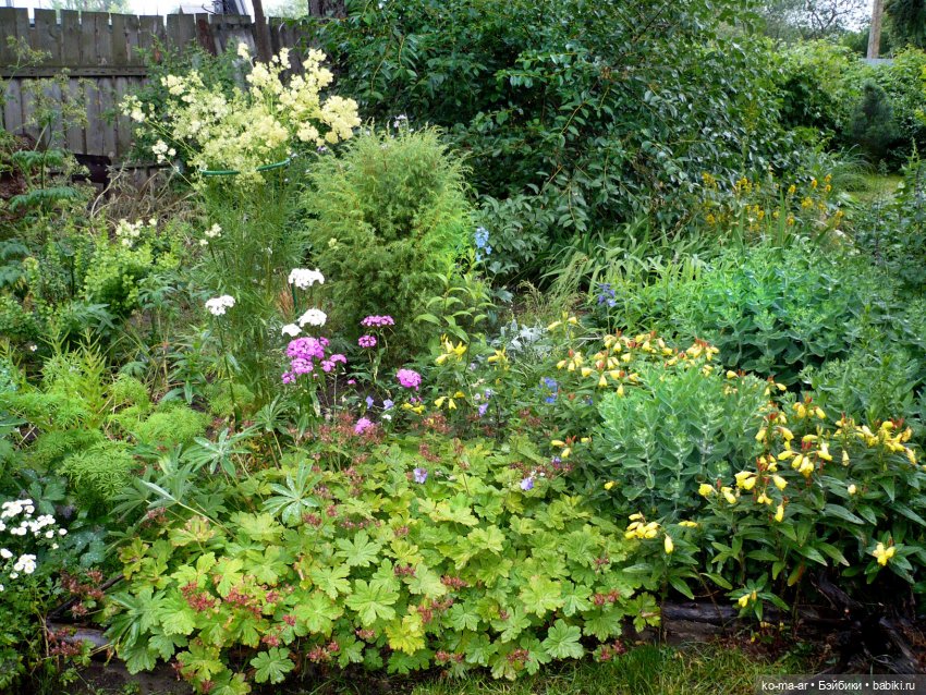 Как я была садоводом | Бэйбики Как я была садоводом — Болталка и разговоры обо всем: жизнь