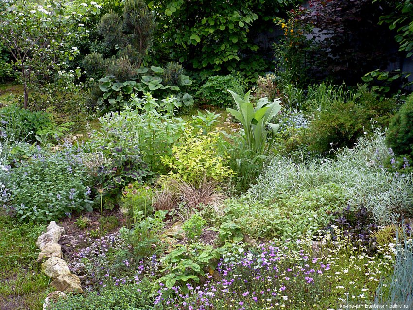 Как я была садоводом | Бэйбики Как я была садоводом — Болталка и разговоры обо всем: жизнь