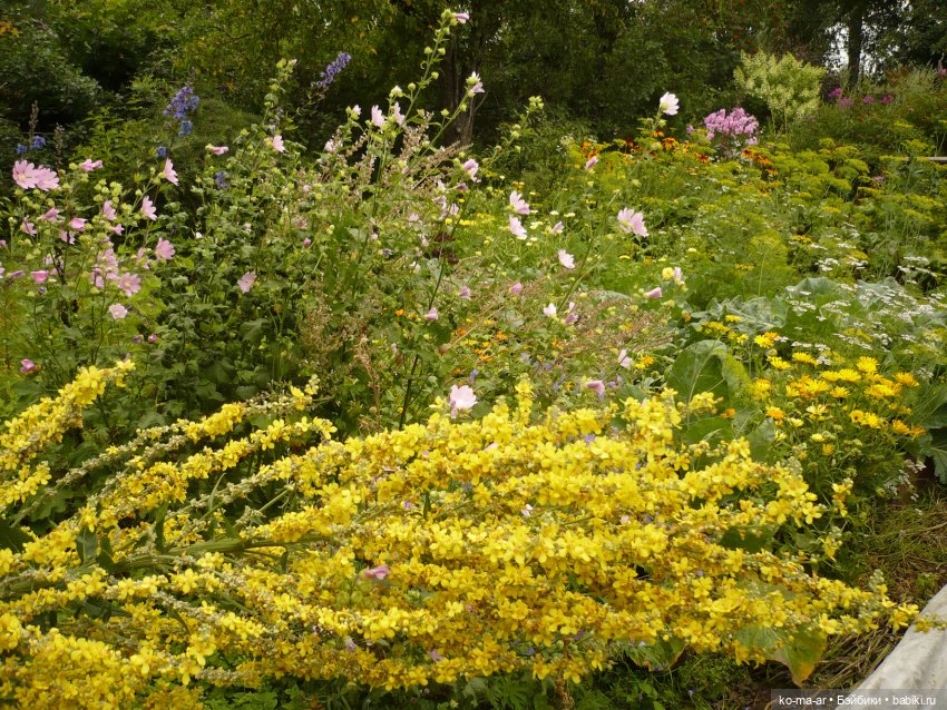 Как я была садоводом | Бэйбики Как я была садоводом — Болталка и разговоры обо всем: жизнь