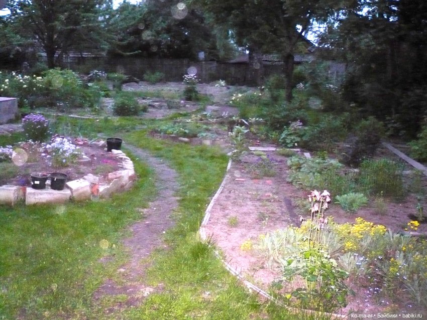 Как я была садоводом | Бэйбики Как я была садоводом — Болталка и разговоры обо всем: жизнь