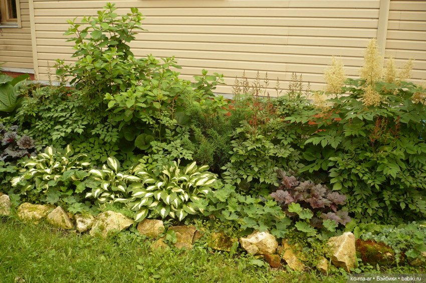 Как я была садоводом | Бэйбики Как я была садоводом — Болталка и разговоры обо всем: жизнь