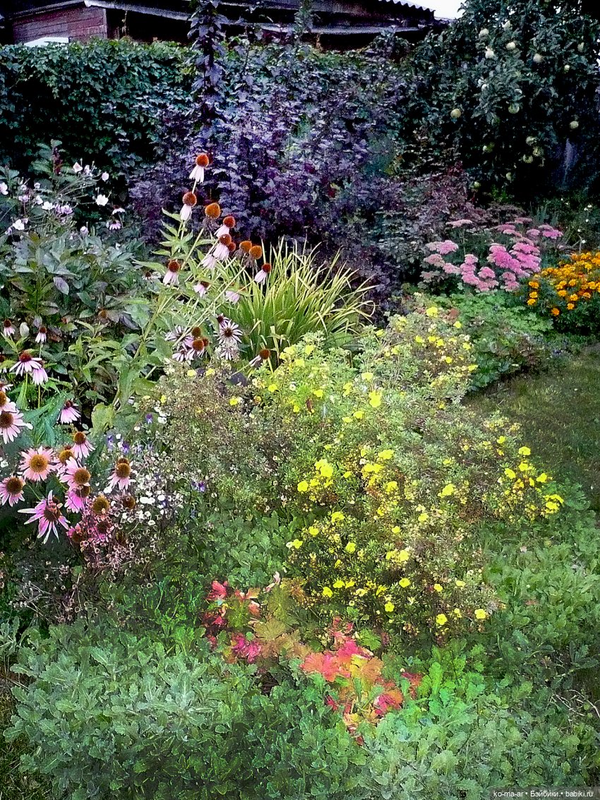 Как я была садоводом | Бэйбики Как я была садоводом — Болталка и разговоры обо всем: жизнь