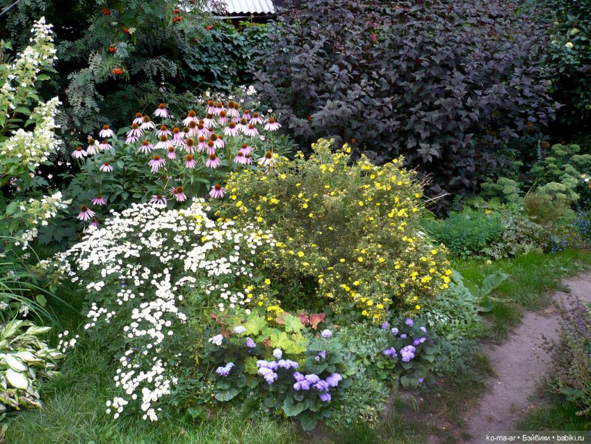 Как я была садоводом | Бэйбики Как я была садоводом — Болталка и разговоры обо всем: жизнь