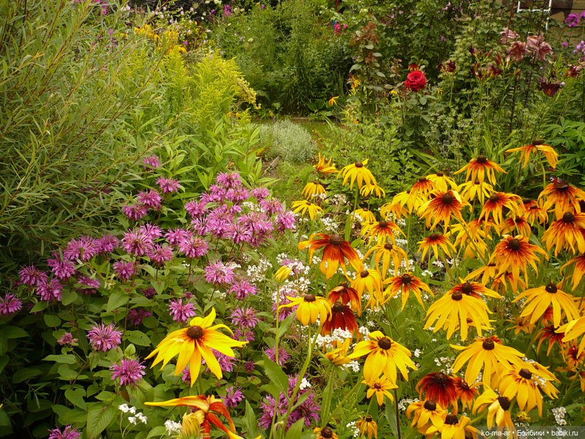 Как я была садоводом | Бэйбики Как я была садоводом — Болталка и разговоры обо всем: жизнь