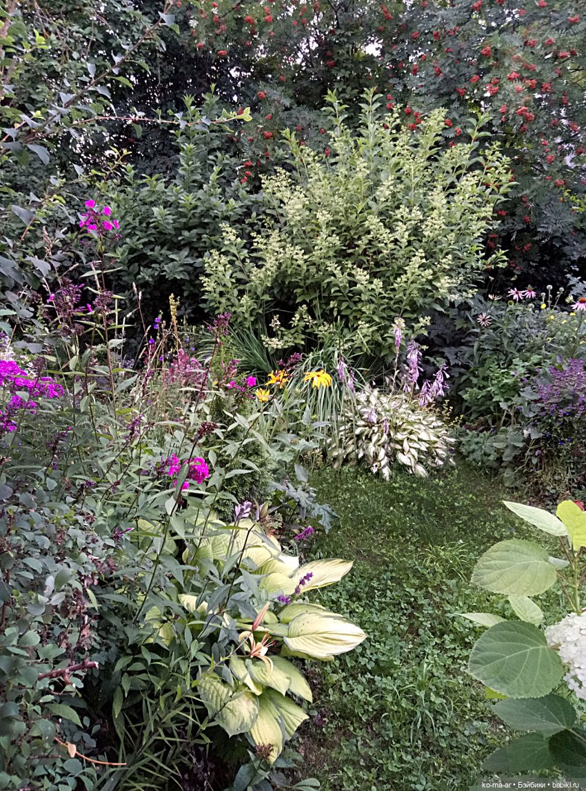 Как я была садоводом | Бэйбики Как я была садоводом — Болталка и разговоры обо всем: жизнь