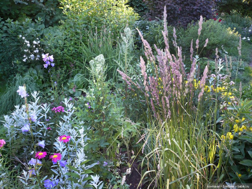 Как я была садоводом | Бэйбики Как я была садоводом — Болталка и разговоры обо всем: жизнь