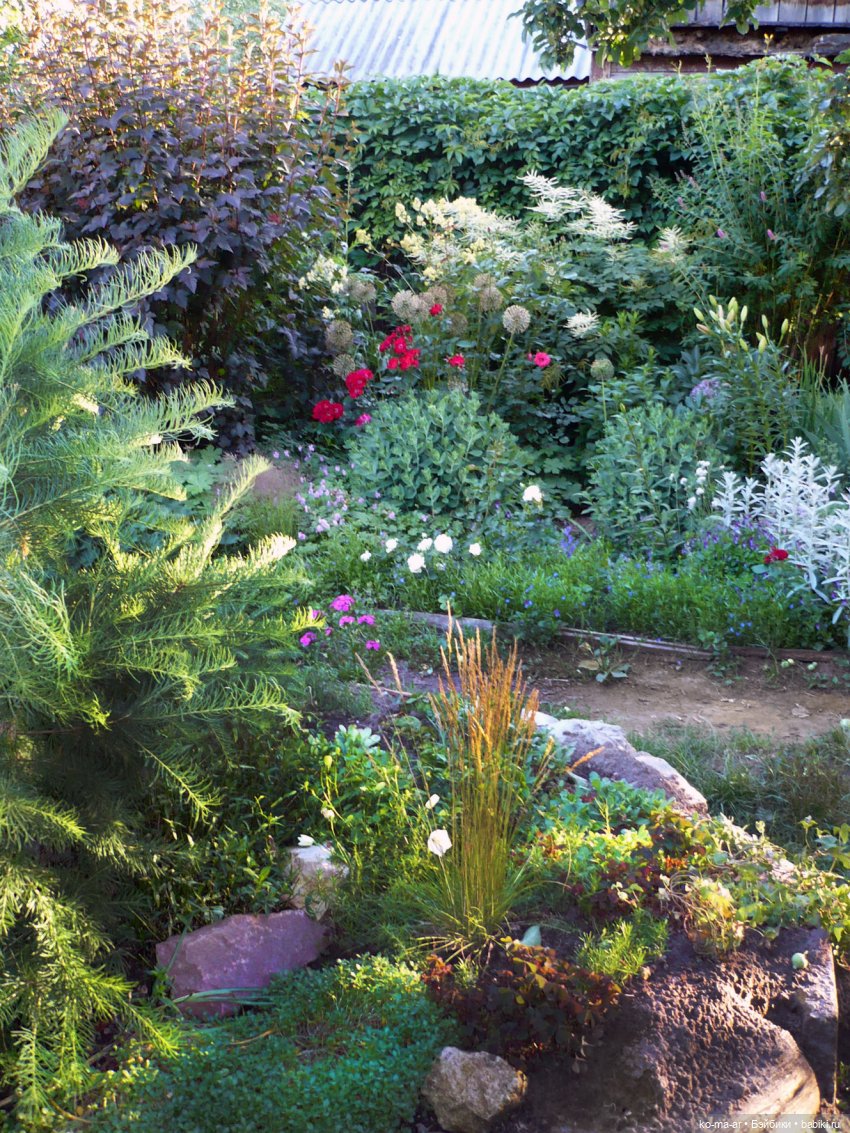 Как я была садоводом | Бэйбики Как я была садоводом — Болталка и разговоры обо всем: жизнь