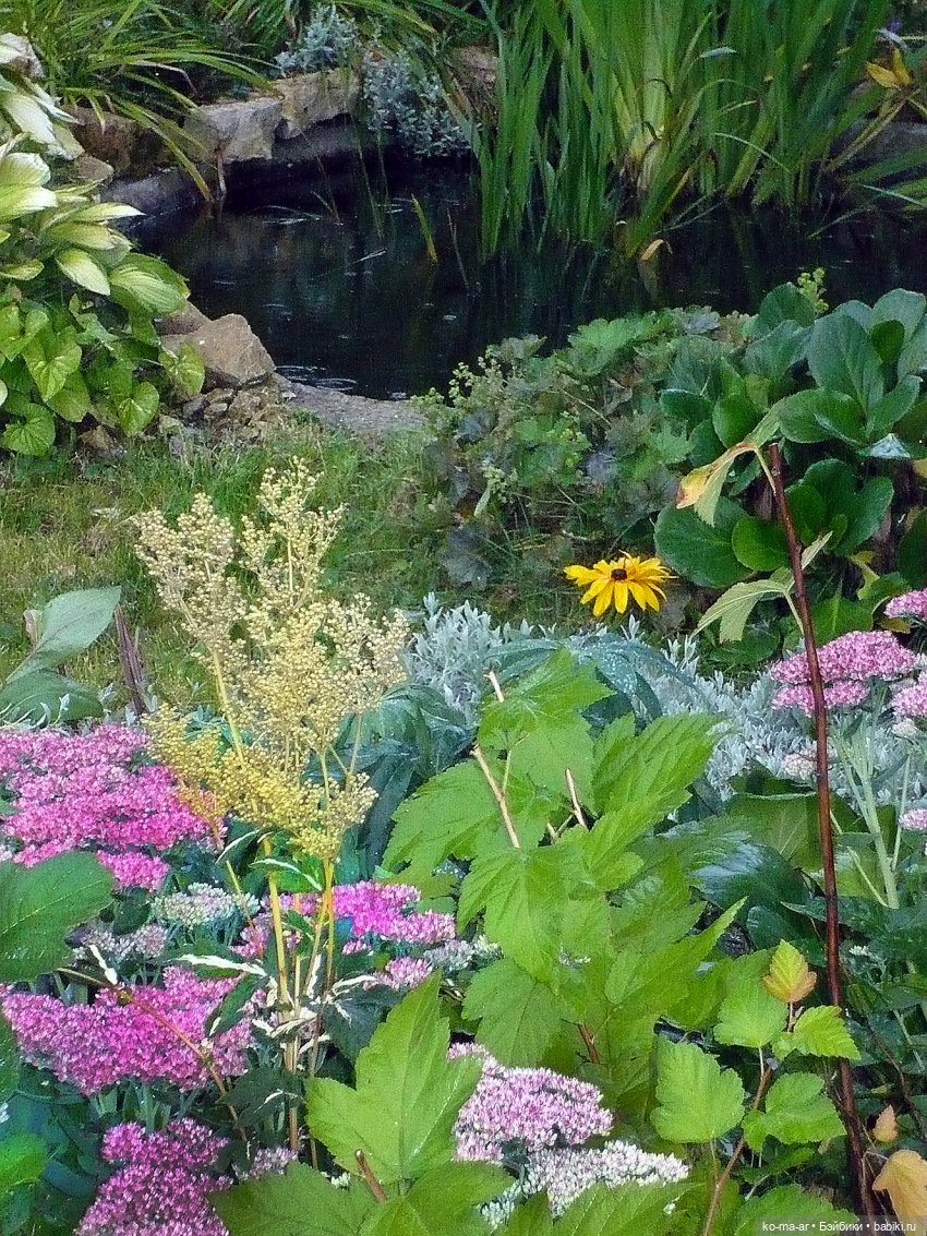 Как я была садоводом | Бэйбики Как я была садоводом — Болталка и разговоры обо всем: жизнь