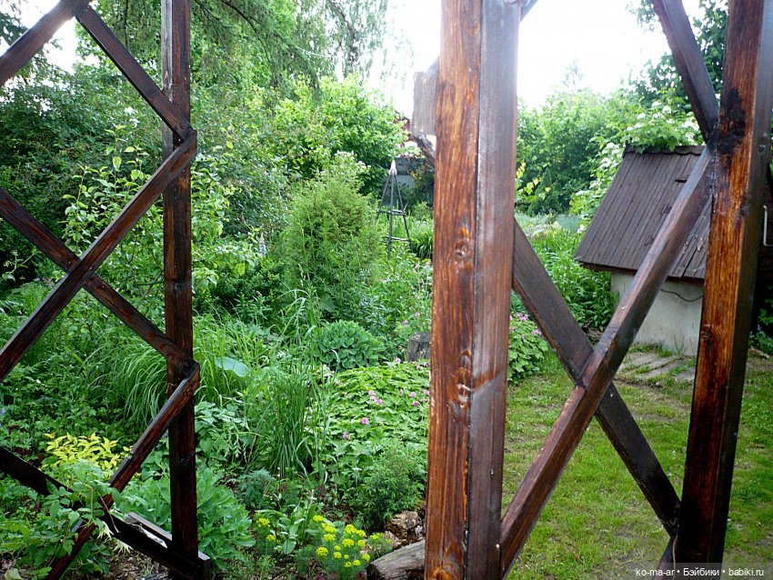 Как я была садоводом | Бэйбики Как я была садоводом — Болталка и разговоры обо всем: жизнь