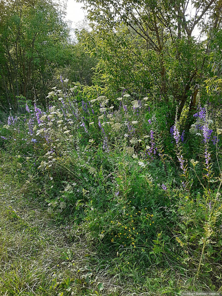 Большая прогулка маленьких человечков