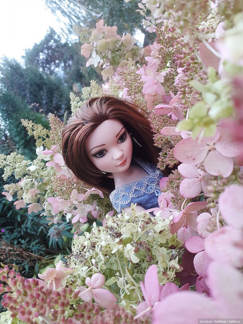 День гортензии и платья из старого сундука